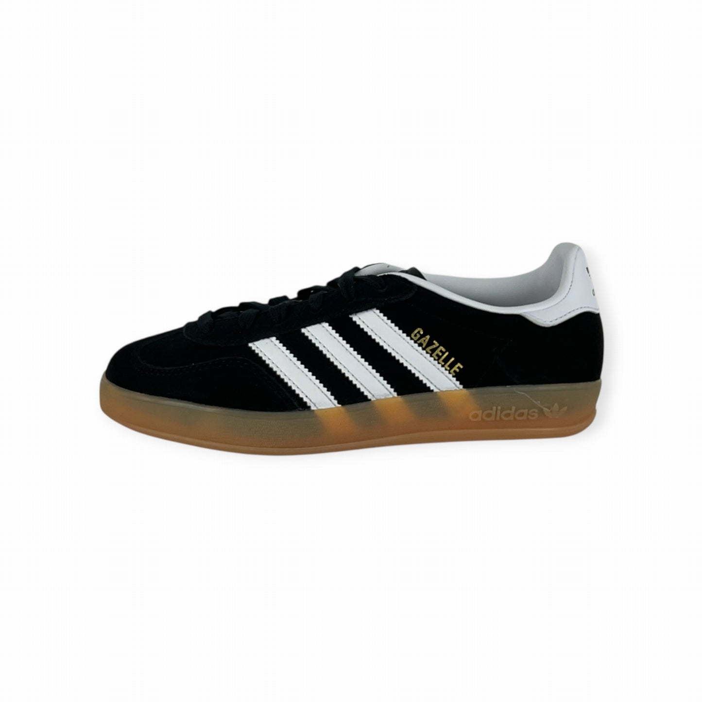 GAZELLE INDOOR