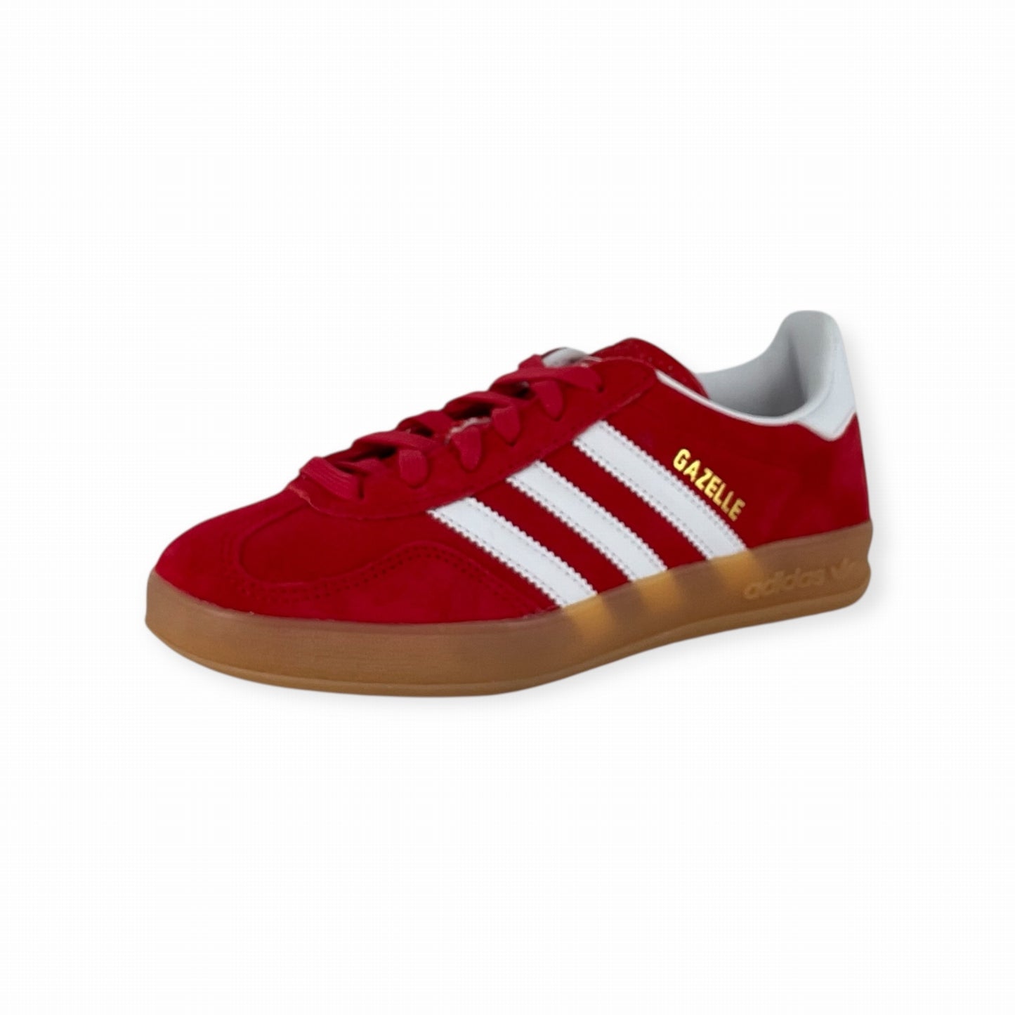 GAZELLE INDOOR