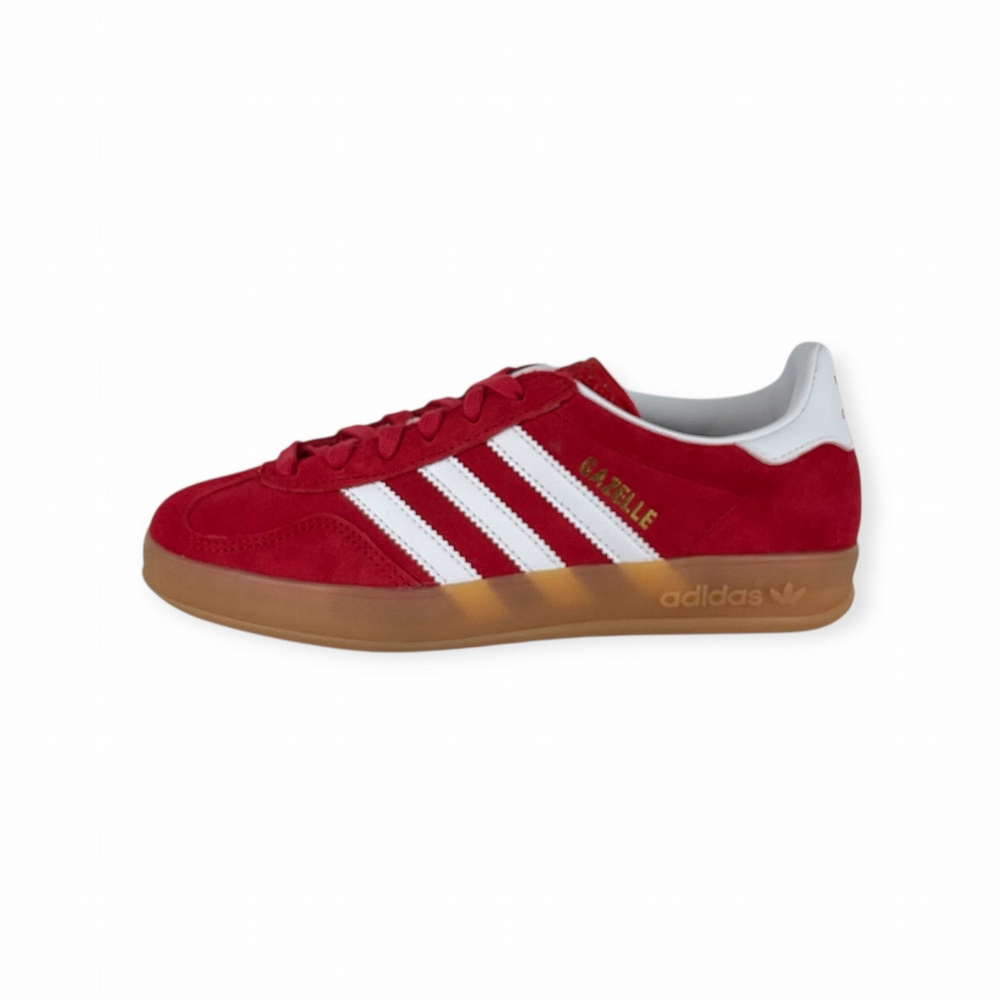 GAZELLE INDOOR