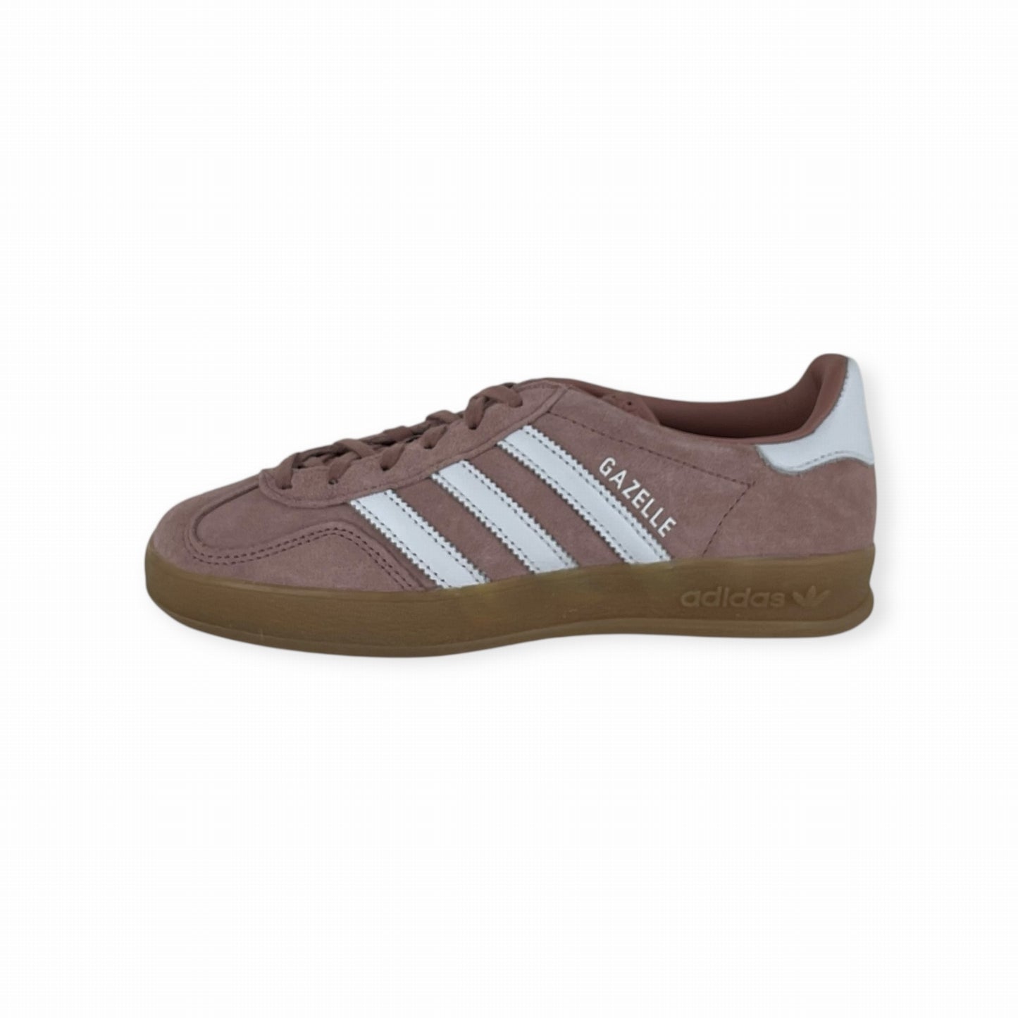GAZELLE INDOOR
