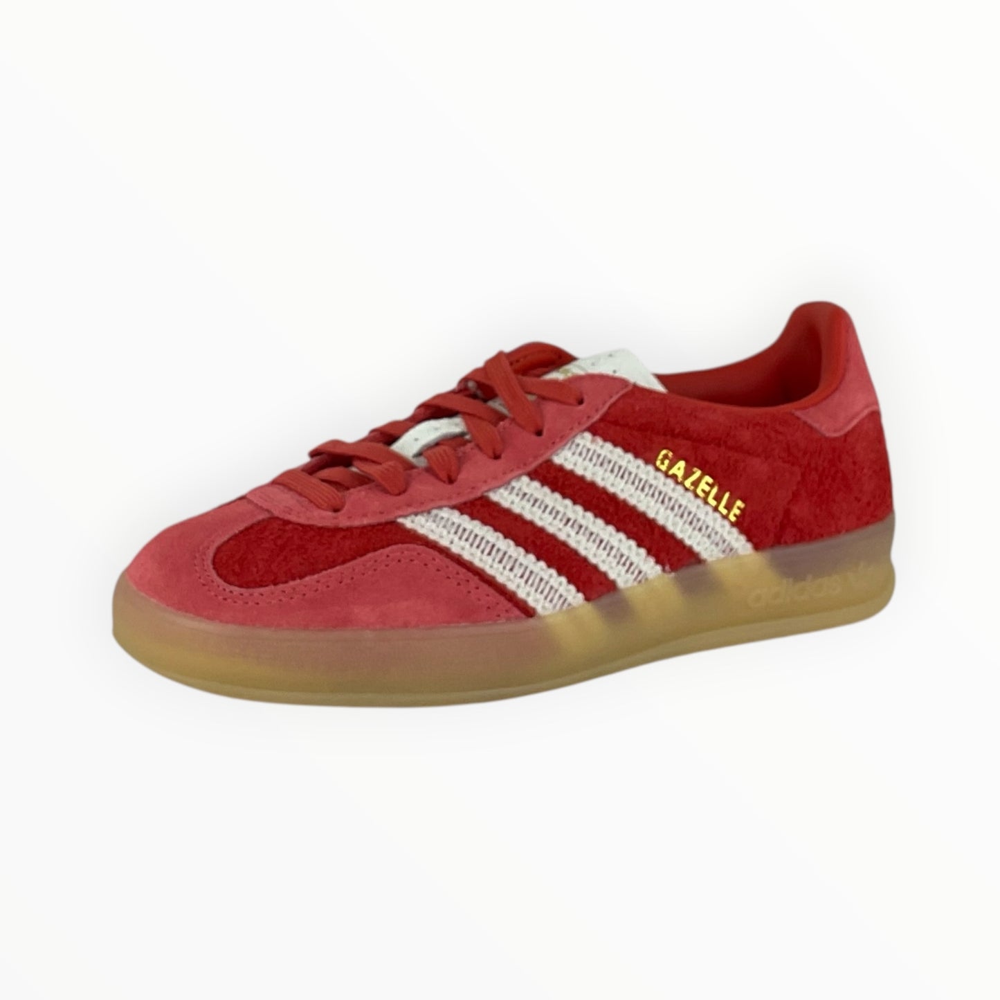 GAZELLE INDOOR